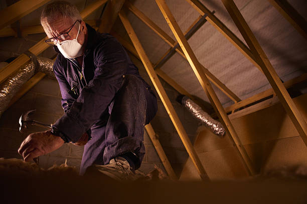 Best Eco-Friendly Insulation in Sutherland, NE